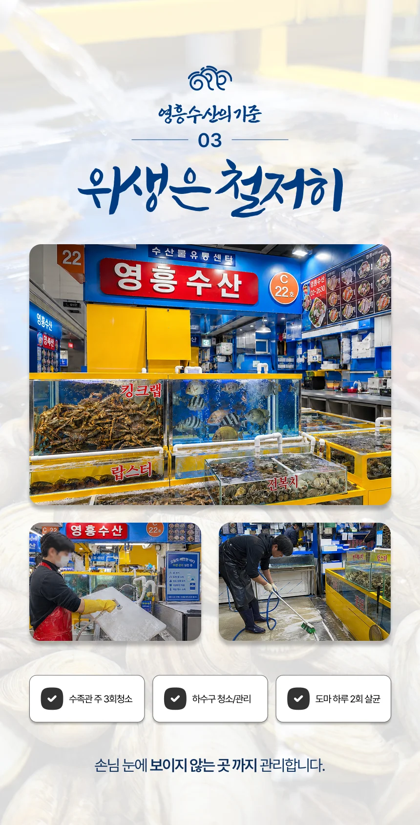숭어모둠회 [숭어+광어+참돔]