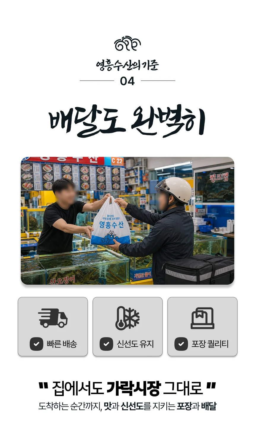 갑오징어회